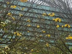 -四川宋瓷博物馆