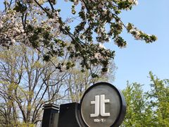 -四云楼烤鸡店(吉庆街店)