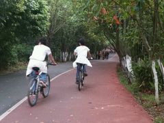 -艾溪湖湿地公园