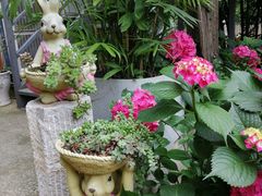 -谷咖啡·鲜花绿植花园餐厅