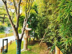 -西郊竹园甲鱼面(老一中店)