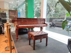 -柏斯琴行(汾阳店)