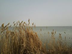-包头南海湿地景区