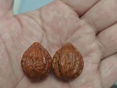 -蝎王府羊蝎子(西直门店)