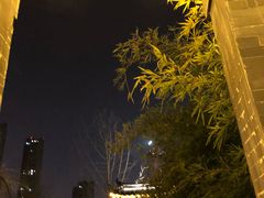-南京眼步行桥