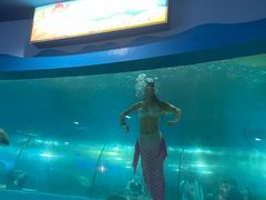 -苏州海洋馆