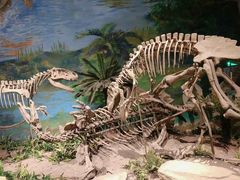 -自贡恐龙博物馆