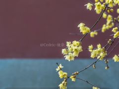 -钱王祠