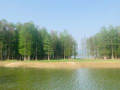 -四明湖