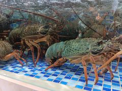 -欧记·龙城港(欣都店)