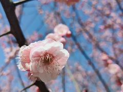 -白塘生态植物园