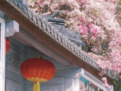 -深圳国际园林花卉博览园