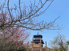 -杭州半山国家森林公园