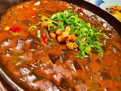 炒凉粉-阿五黄河大鲤鱼(纬三路店)