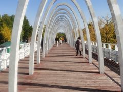 -大兴滨河森林公园