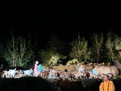 -禅宗少林·音乐大典