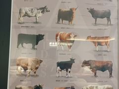 -红星美凯龙北京至尊MALL(东四环中路店)