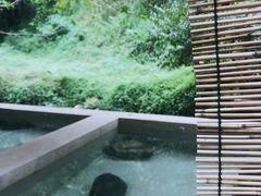 -乐领拈花溪·林涧食韵