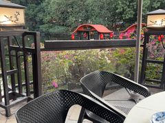 -侨美·唐荔园·40年地道粤菜