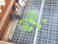 -珠海海泉湾神秘岛亲子乐园