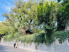 -聚春园·福龙泉澡堂(温泉店)