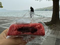 -江南春(中山中路店)