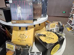 -浣熊唱片店(上海影城店)