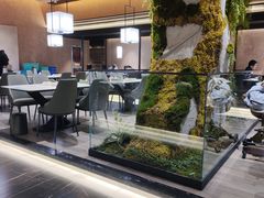 -阿露佳·舌尖上的安吉菜