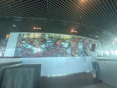 -澳门旅游塔360°旋转餐厅(南湾湖广场店)