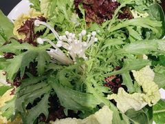 绿色时蔬大拼-南门四季铜锅涮肉(左家庄店)