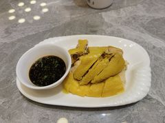 -老绍兴养和饭店(向阳不夜城店)
