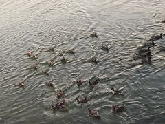-深圳湾公园(南山区)