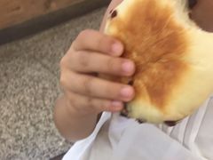 -CENTTY辛蒂咖啡·烘焙·西点(天兰社区新生活中心店)