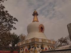 -护国法轮寺