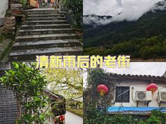 -后柳水乡