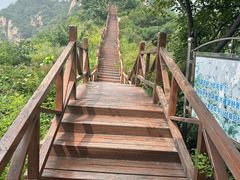 -大岭沟猕猴桃谷风景区