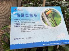 -深圳野生动物园