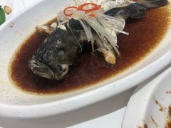 -金春禧(英雄山路旗舰店)