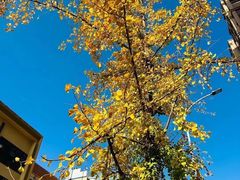 -麗枫酒店(成都理工大学地铁站店)