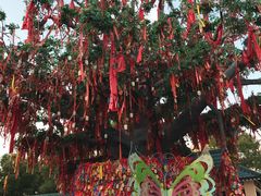 -芜湖方特东方神画