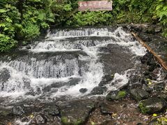 -峡谷浮石林景区