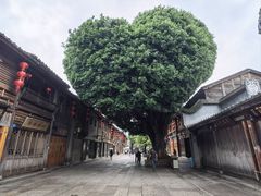 -三坊七巷历史文化街区