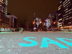 -大通公园