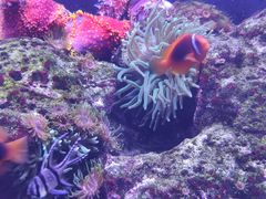 -成都浩海立方海洋公园