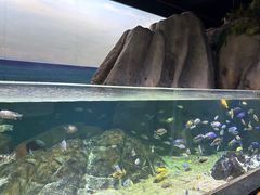 -江和美海洋公园