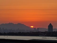 -人间采蜜(海信广场店)