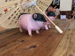 -春家·非遗手工小吃(徐汇万科广场店)