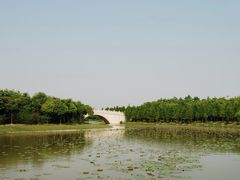 景点-上海海湾国家森林公园