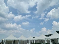 -新罗免税店(首尔总店)