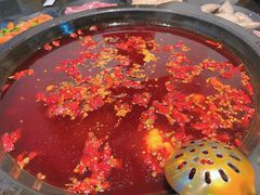 -渝宗老灶火锅(巴国城店)
